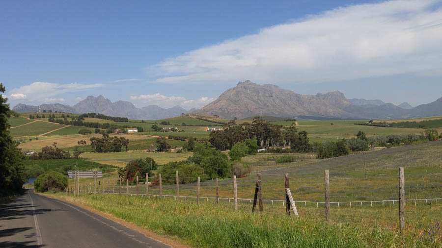 Visiting Wineland outside of Cape Town 2016