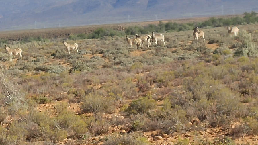 Inverdoorn Game Park Reserve