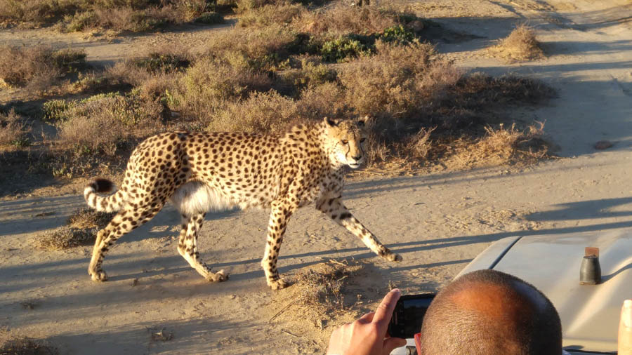 Inverdoorn Game Park Reserve