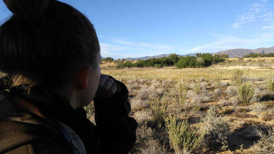 Day two at Inverdoorn Game Reserve South Africa