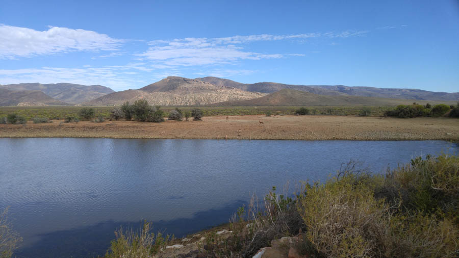 Day two at Inverdoorn Game Reserve South Africa