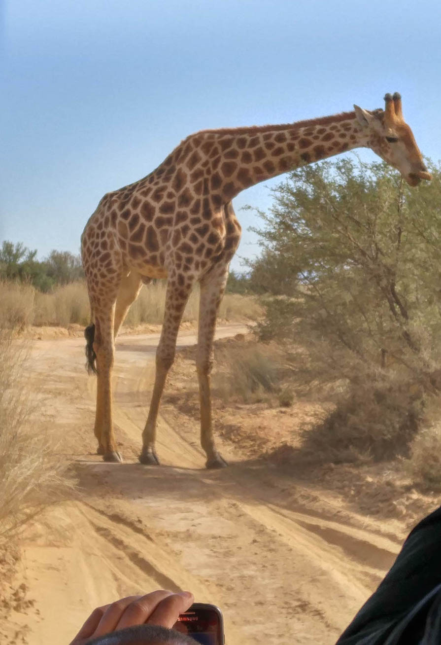 Day two at Inverdoorn Game Reserve South Africa