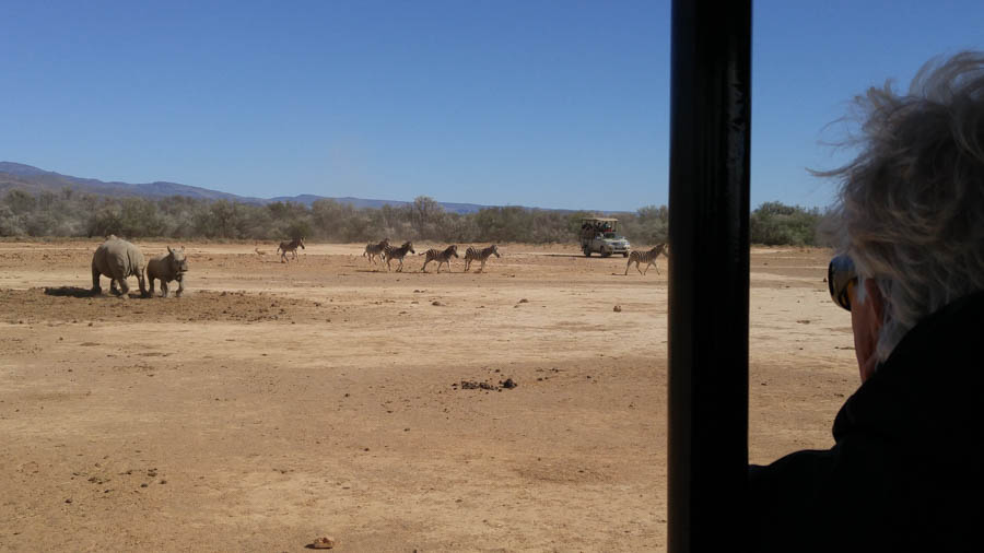 Day two at Inverdoorn Game Reserve South Africa