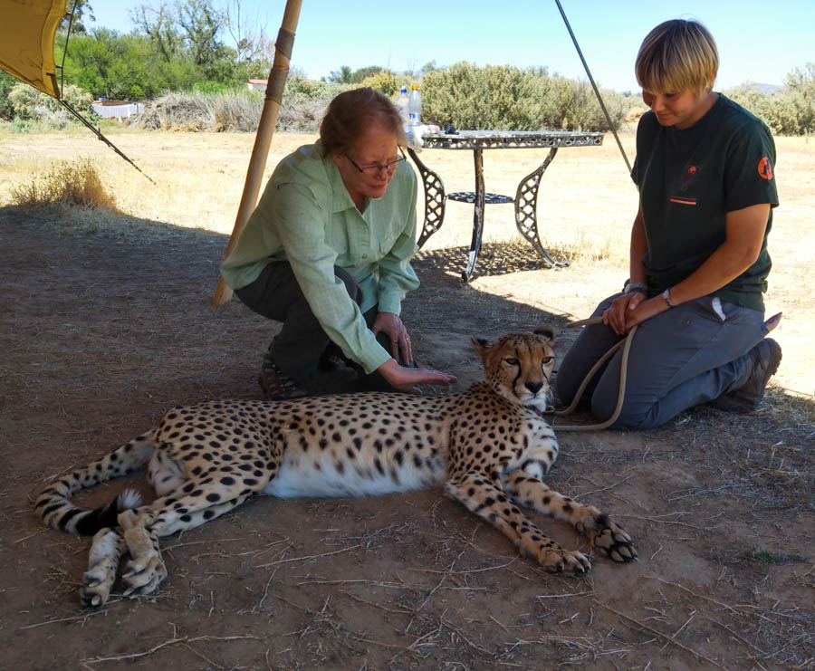 Day two at Inverdoorn Game Reserve South Africa