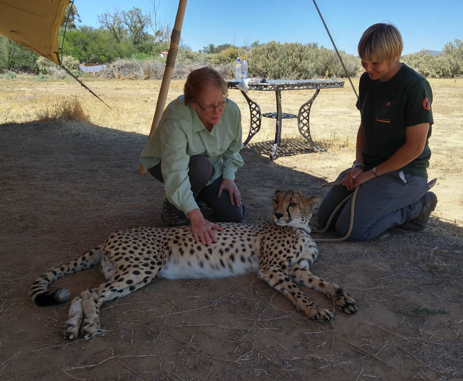 Day two at Inverdoorn Game Reserve South Africa