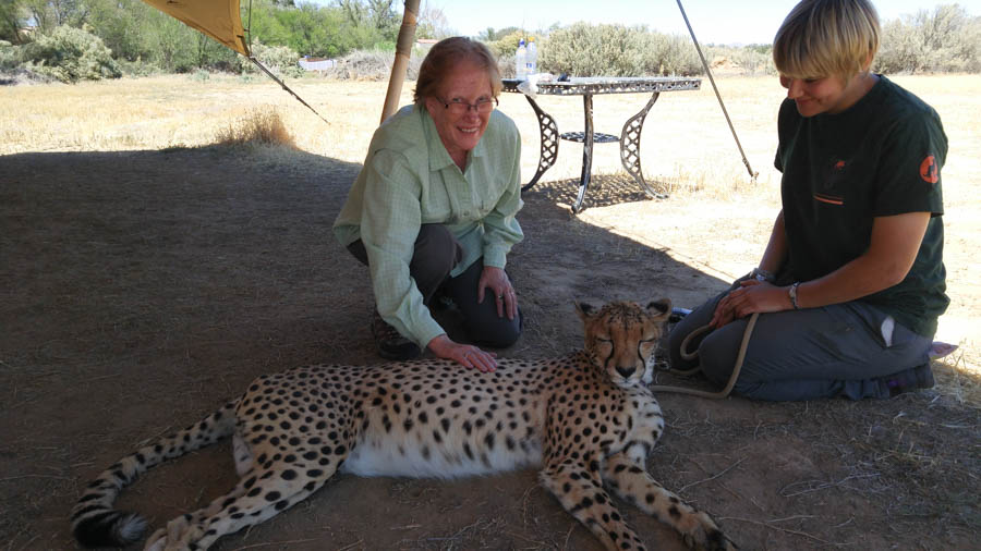 Day two at Inverdoorn Game Reserve South Africa