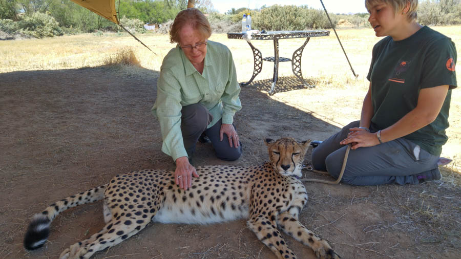 Day two at Inverdoorn Game Reserve South Africa