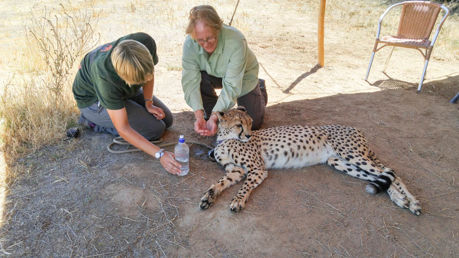 Day two at Inverdoorn Game Reserve South Africa