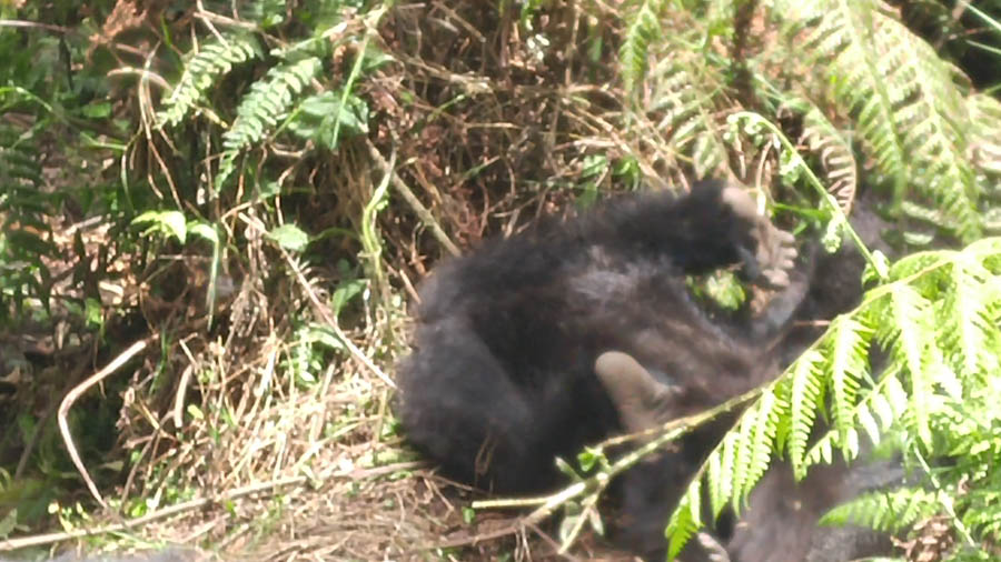 Janice visits Africa October 2016