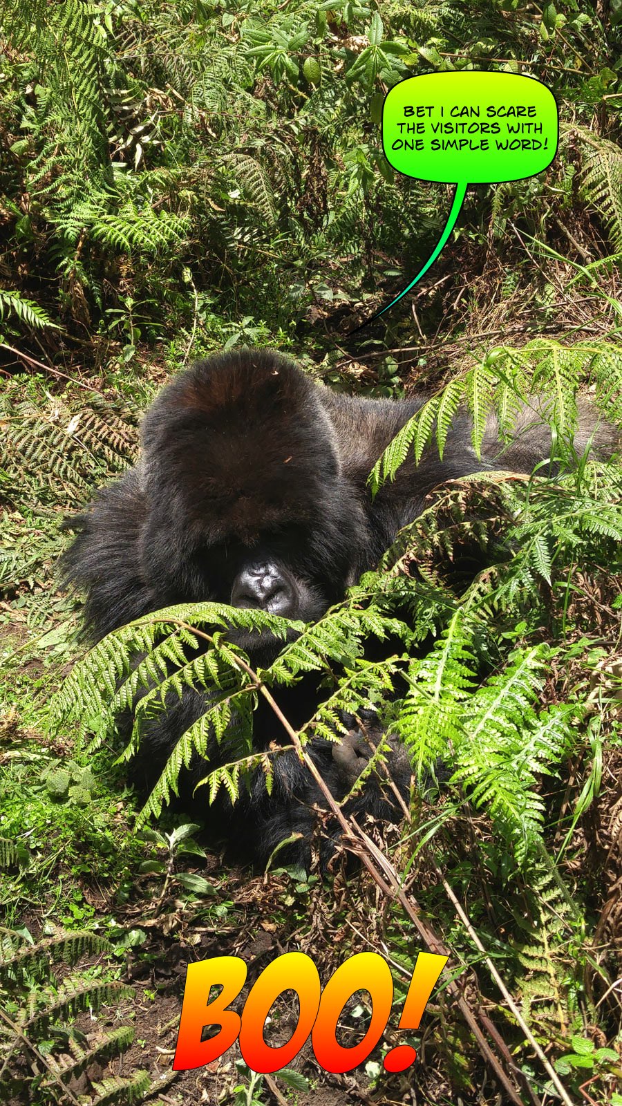 Janice visits Africa October 2016