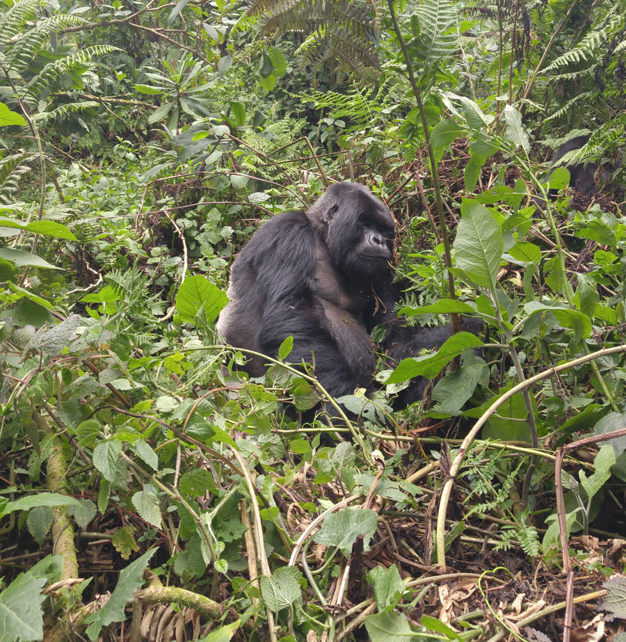 Janice visits Africa October 2016