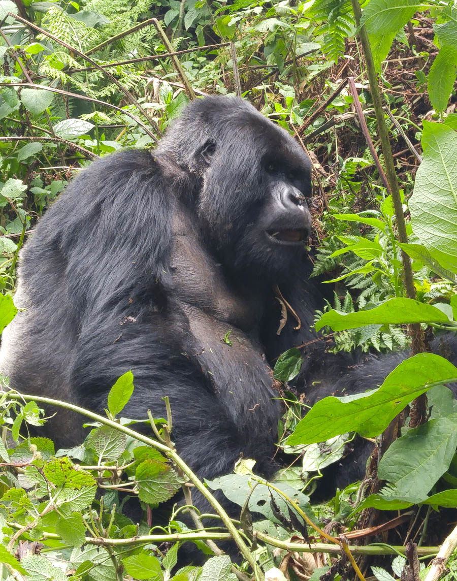 Janice visits Africa October 2016