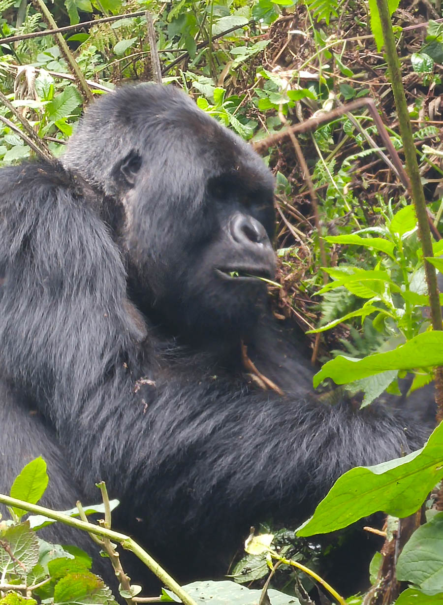 Janice visits Africa October 2016