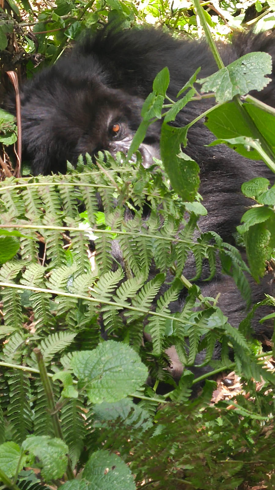 Janice visits Africa October 2016