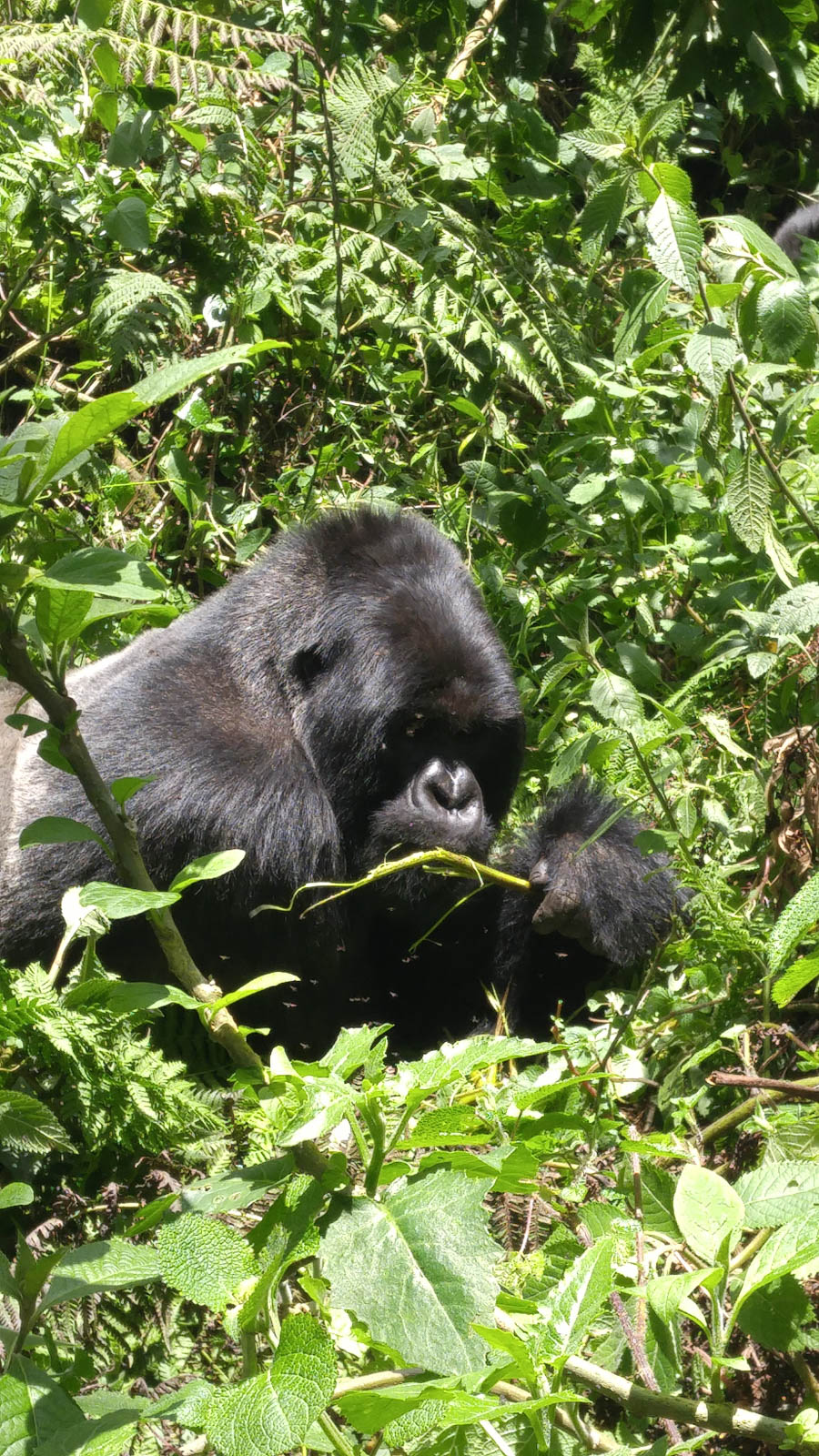 Janice visits Africa October 2016