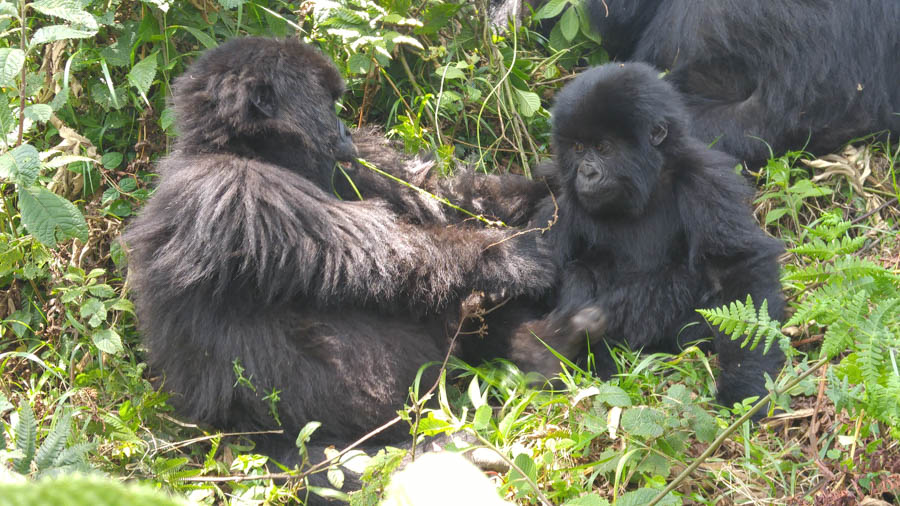 Janice visits Africa October 2016