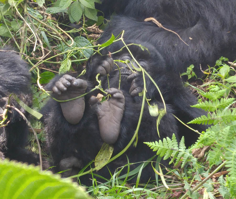 Janice visits Africa October 2016