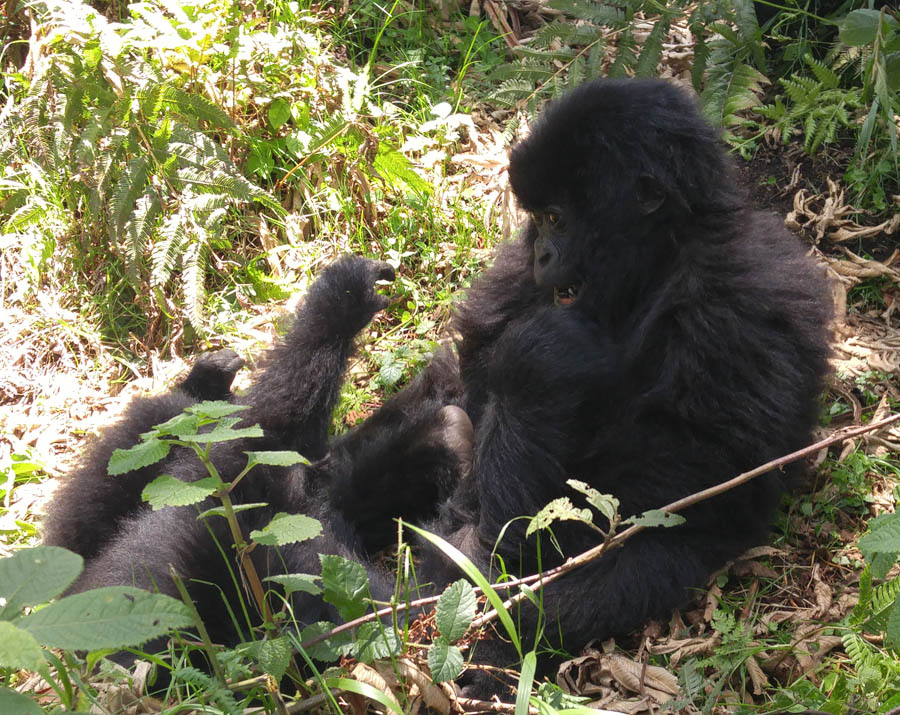 Janice visits Africa October 2016