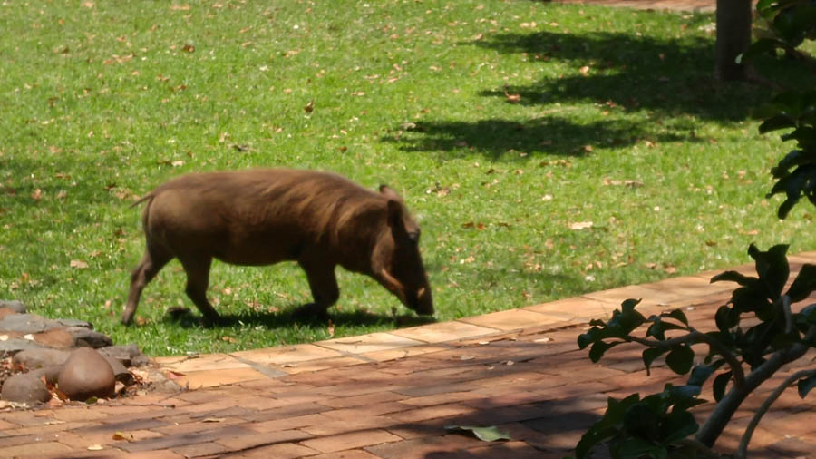Janice visits Africa October 2016