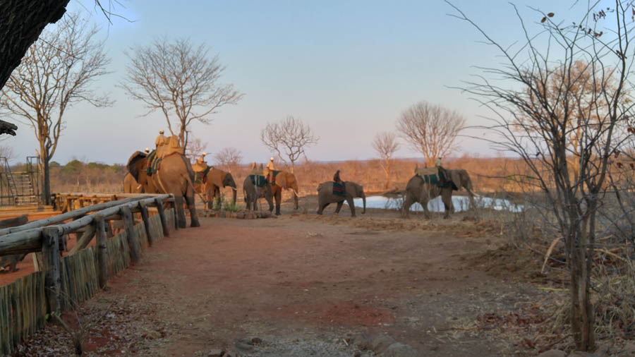 Janice visits Africa October 2016