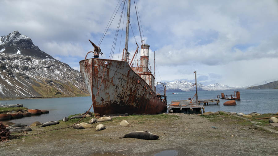 Cruising the Antarctic Sea