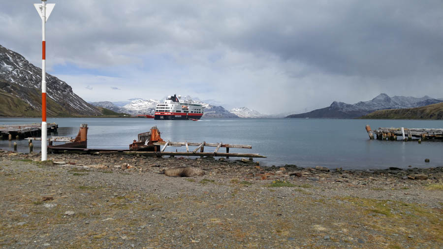 Cruising the Antarctic Sea