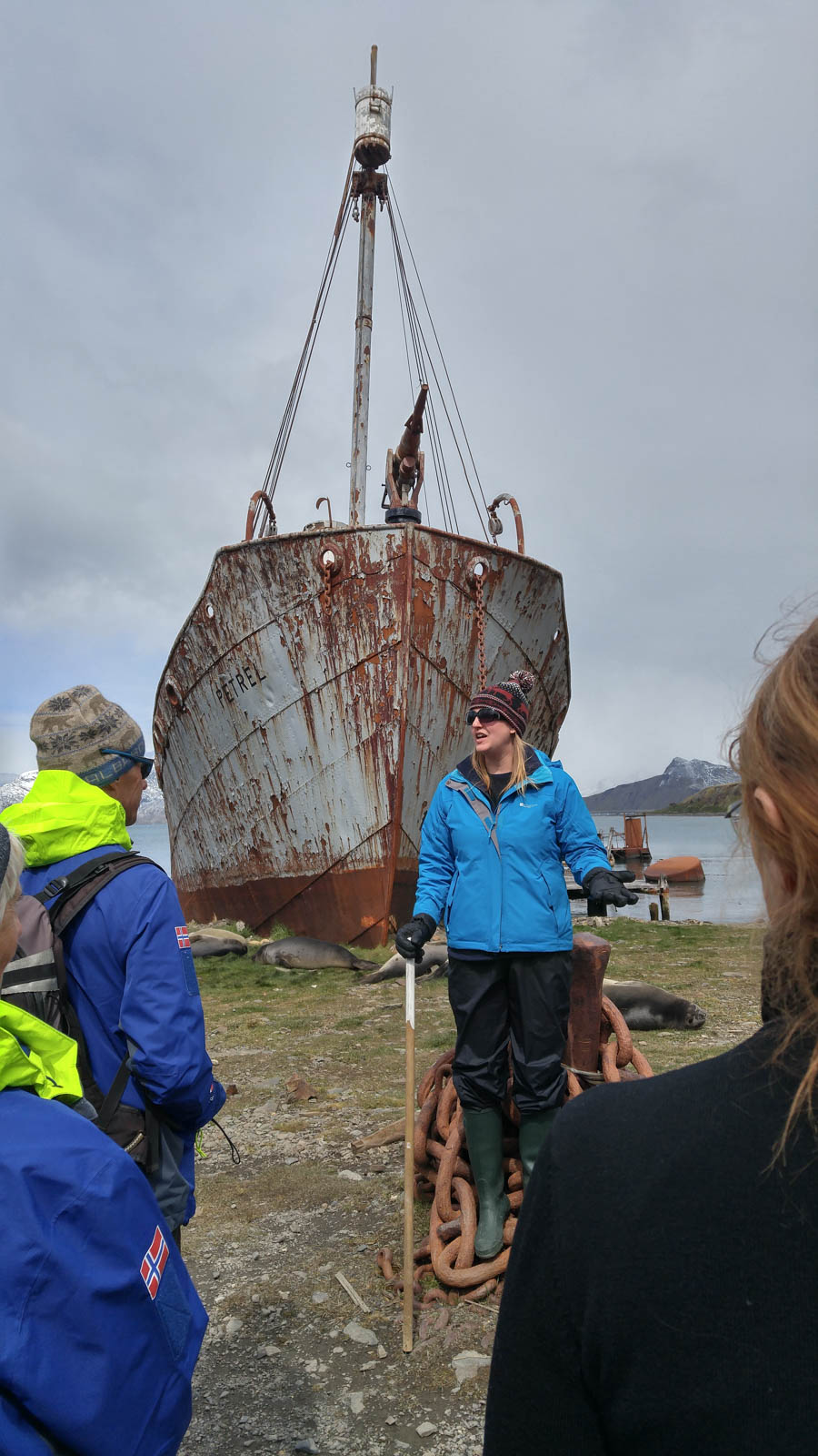 Cruising the Antarctic Sea