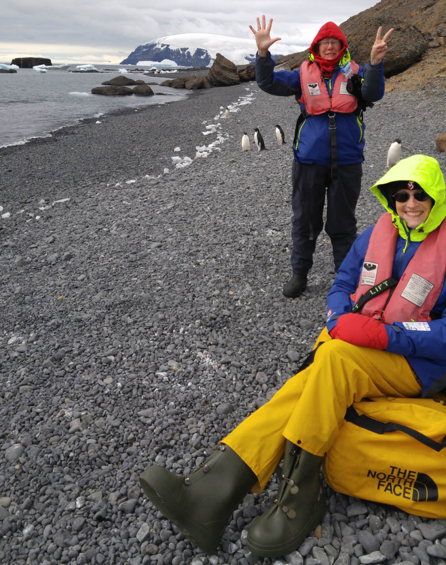 Brown Bluff Antarctica 12/10/2016
