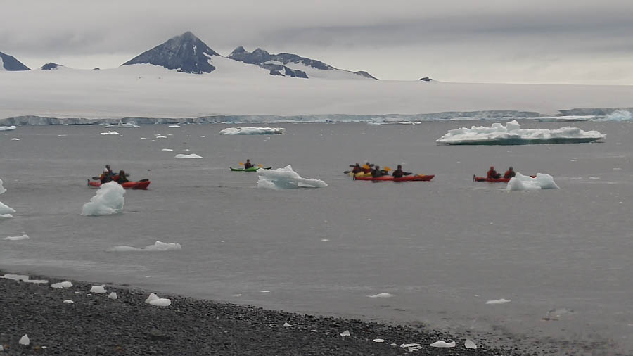 Brown Bluff Antarctica 12/10/2016