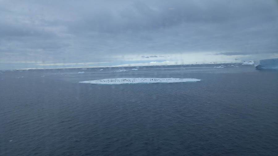 Brown Bluff Antarctica 12/10/2016