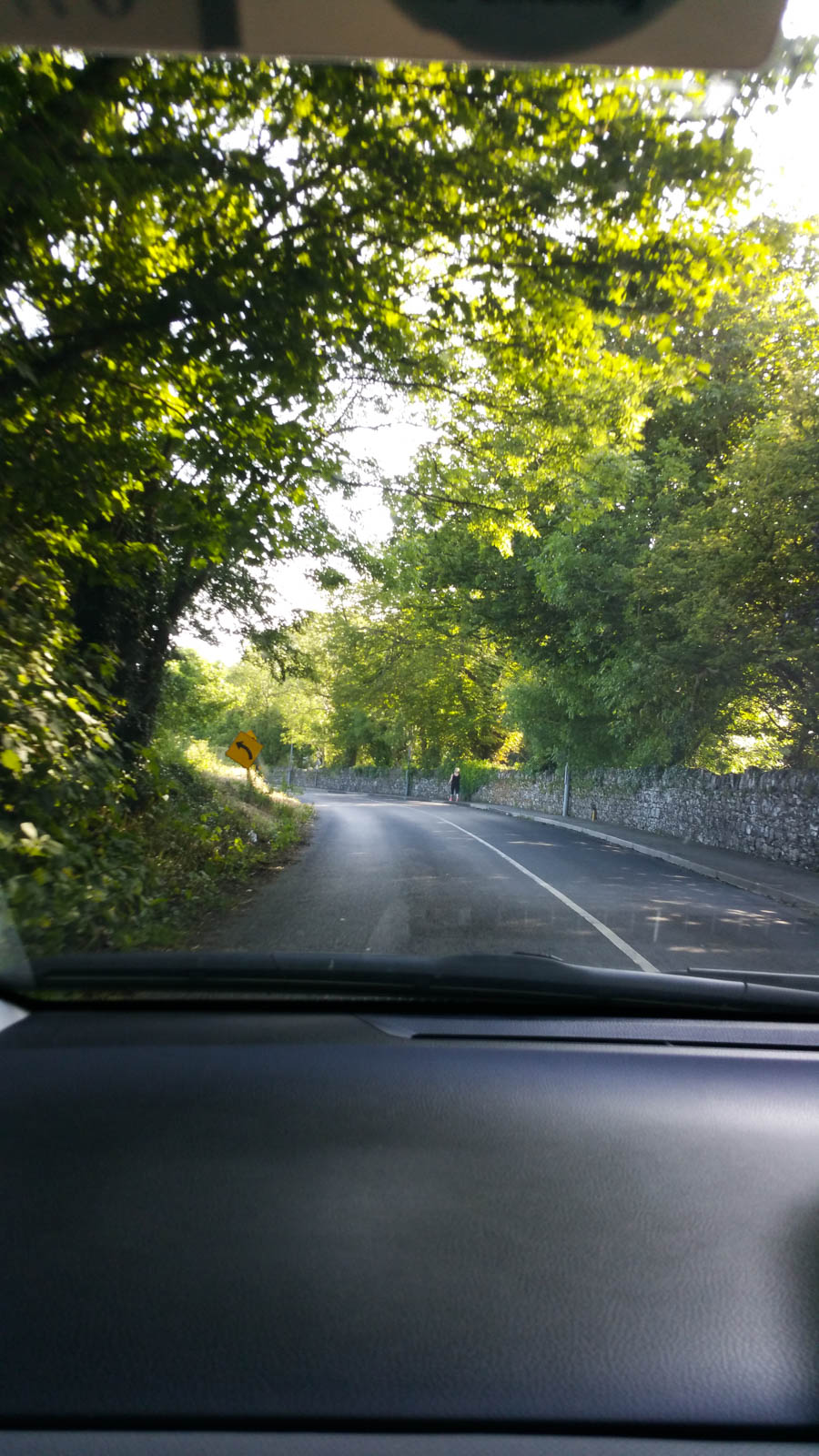 Lisa & Luisa visit Ireland June 2017