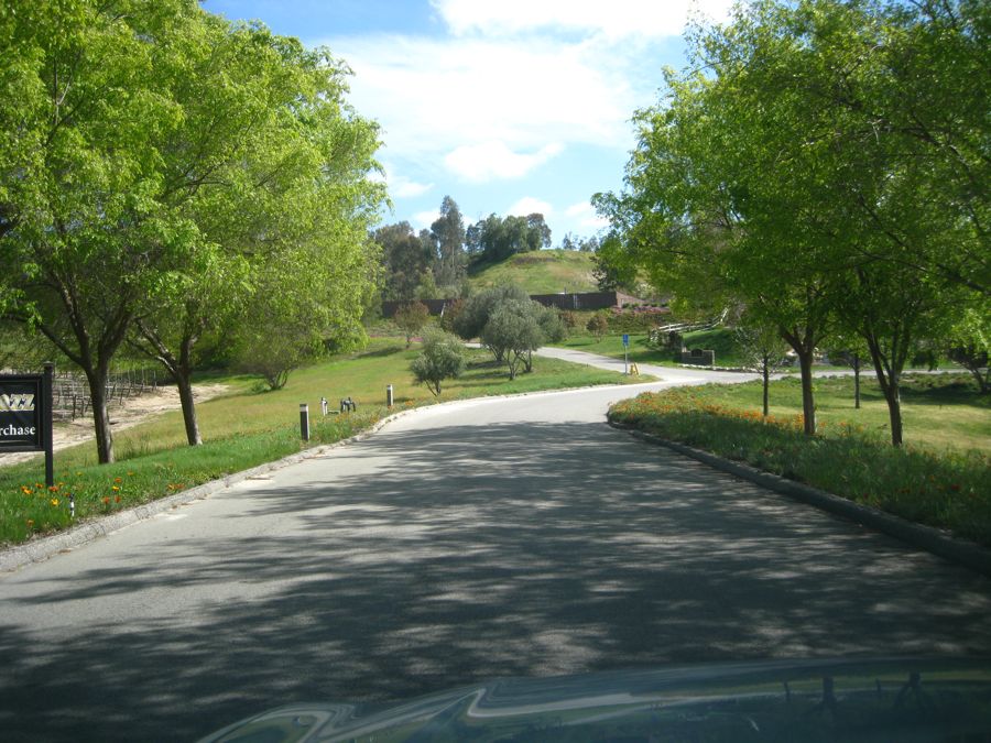 Thornton Winery 3/28/2011