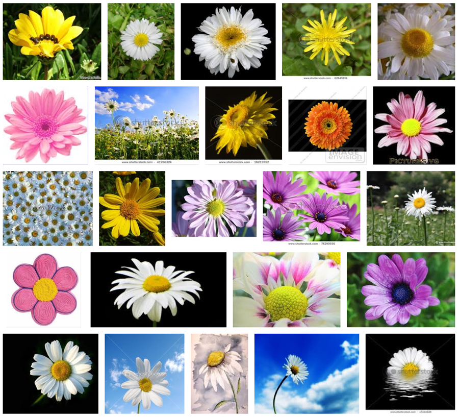 Pushing up daisies night at Alpine Village