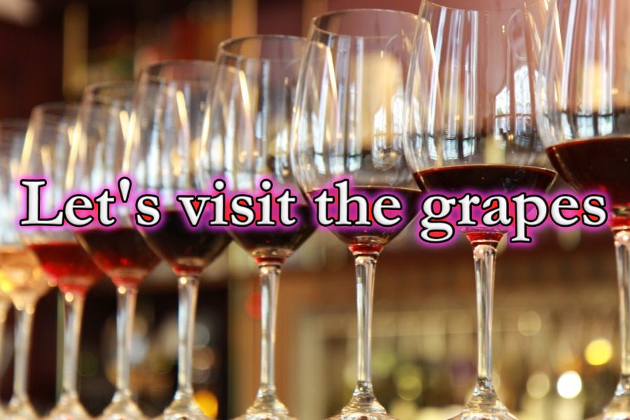September wine blending at Laguna Canyon Winery