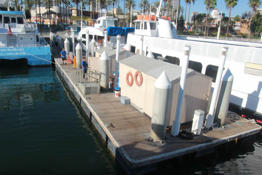 An afternoon with the Cathey's and Liles' in Long Beach Harbor