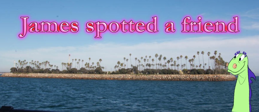 An afternoon with the Cathey's and Liles' in Long Beach Harbor