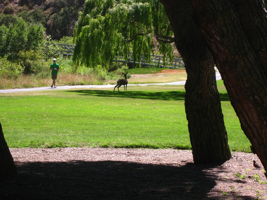 Time for golf with the Hencke's