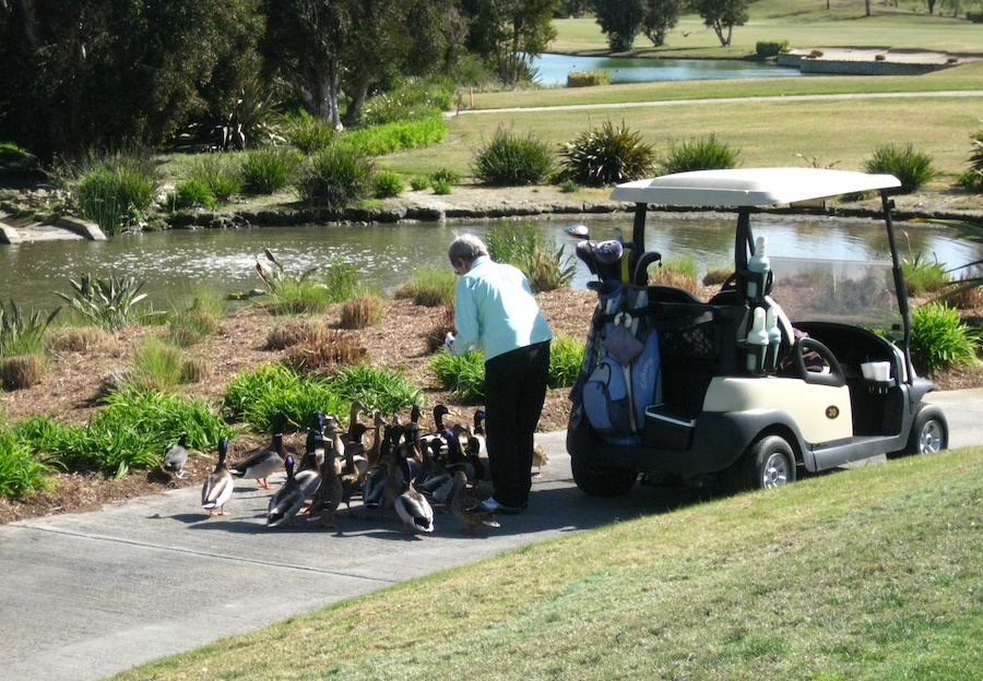 Golf With Holly and Bill Henke