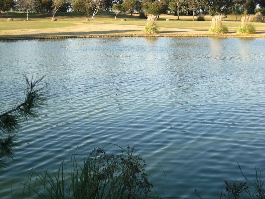 Golf With Holly and Bill Henke