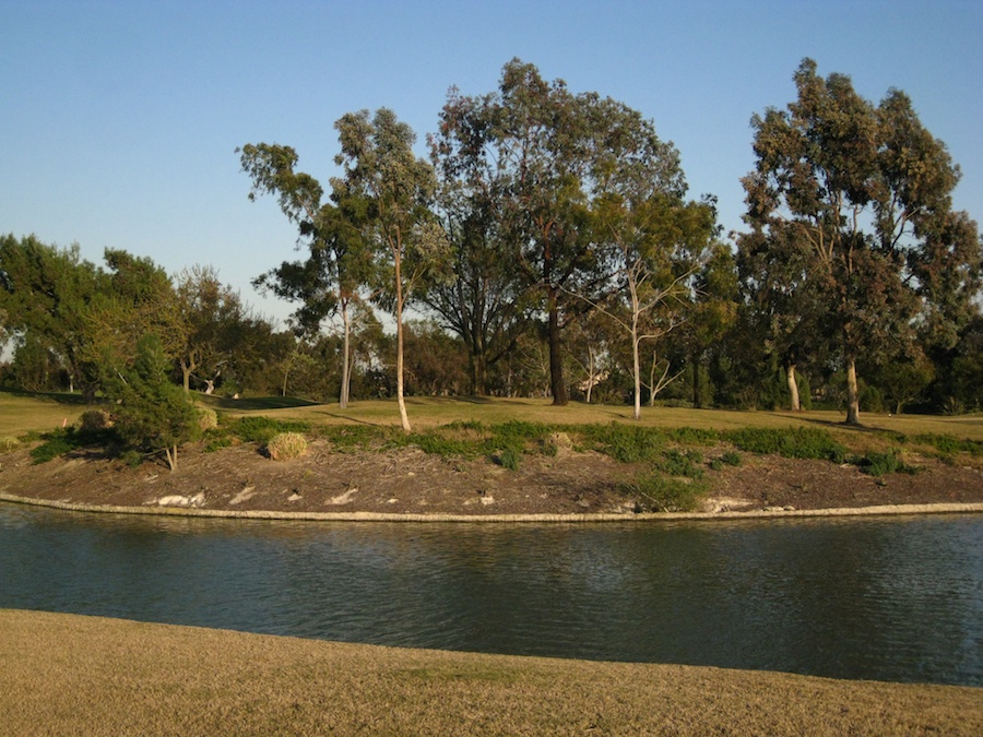 Golf With Holly and Bill Henke