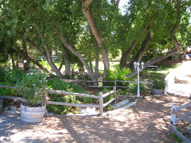 Wilson Creek at Temecula August 2010