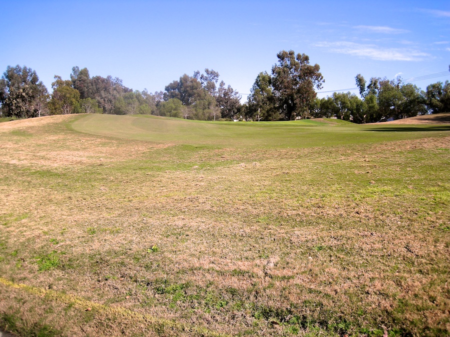 Charlotte makes a terrific golf shot