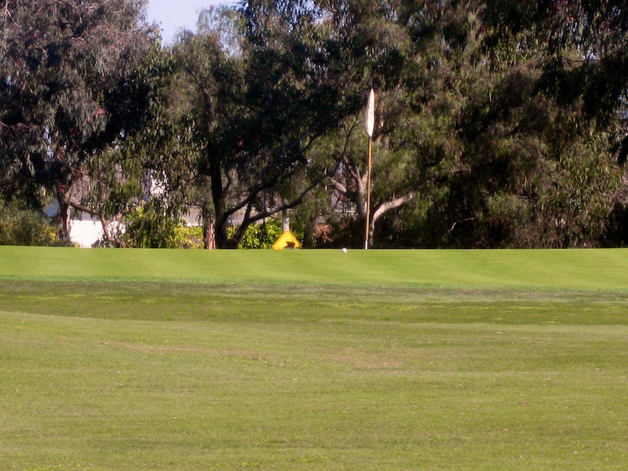 Charlotte makes a terrific golf shot