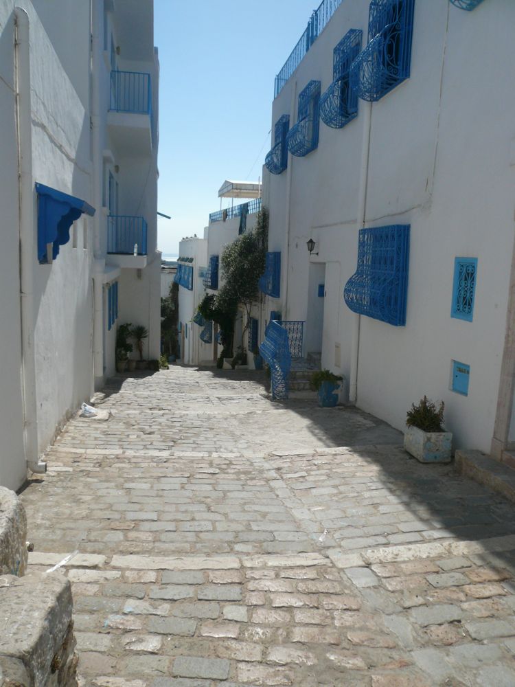 Zaitz Vacaton: Tunisia