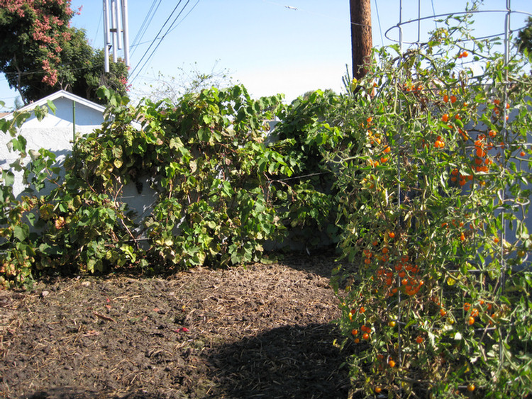 Preparations for winter 2008