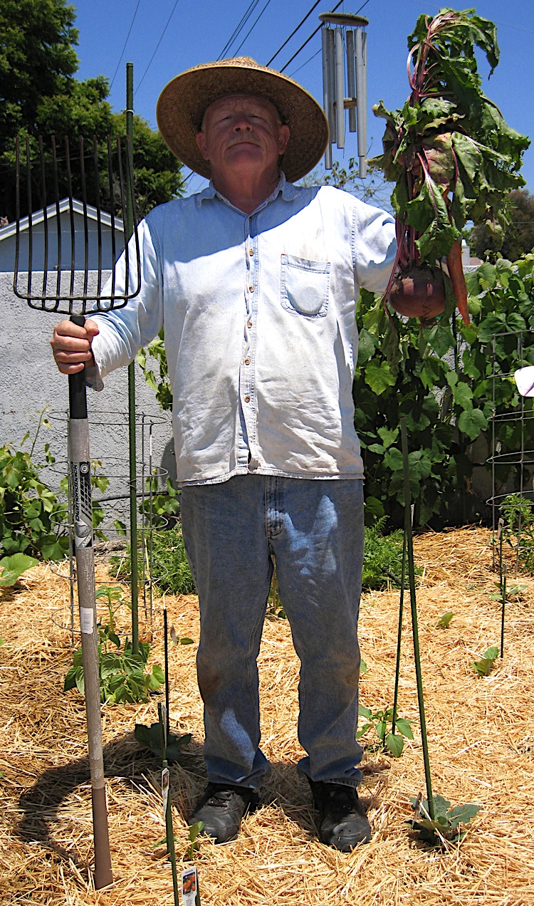 Farmer Paul picks a beet!