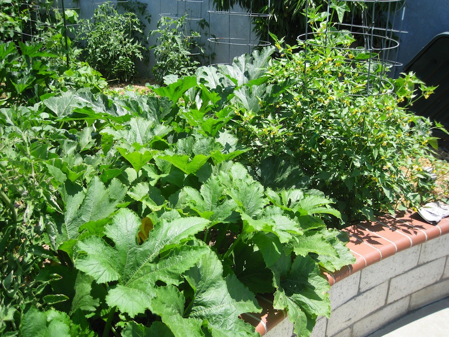 Our vegetable garden on Memorial Day 2014