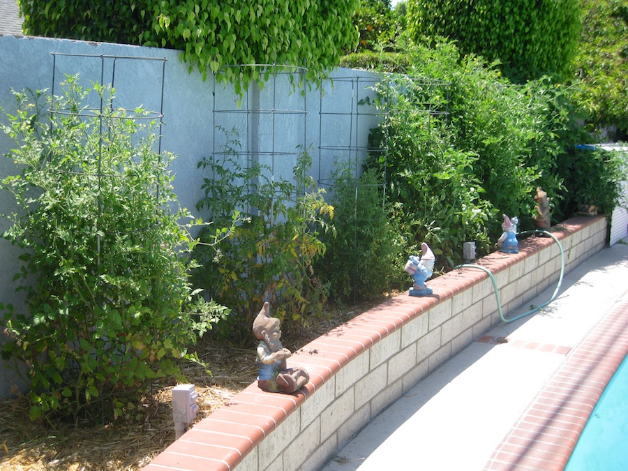 Our vegetable garden on Memorial Day 2014