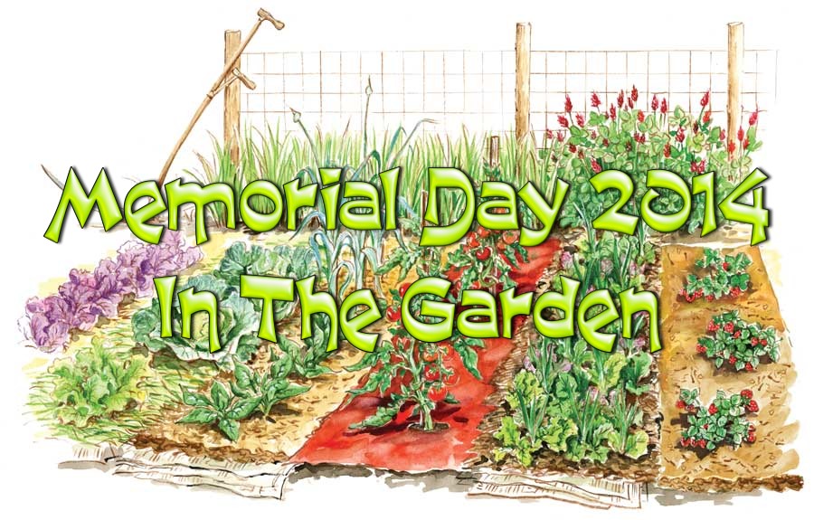 Our vegetable garden on Memorial Day 2014