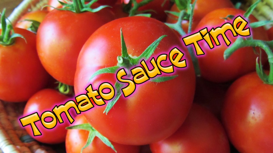 Making tomato sauce July 2014